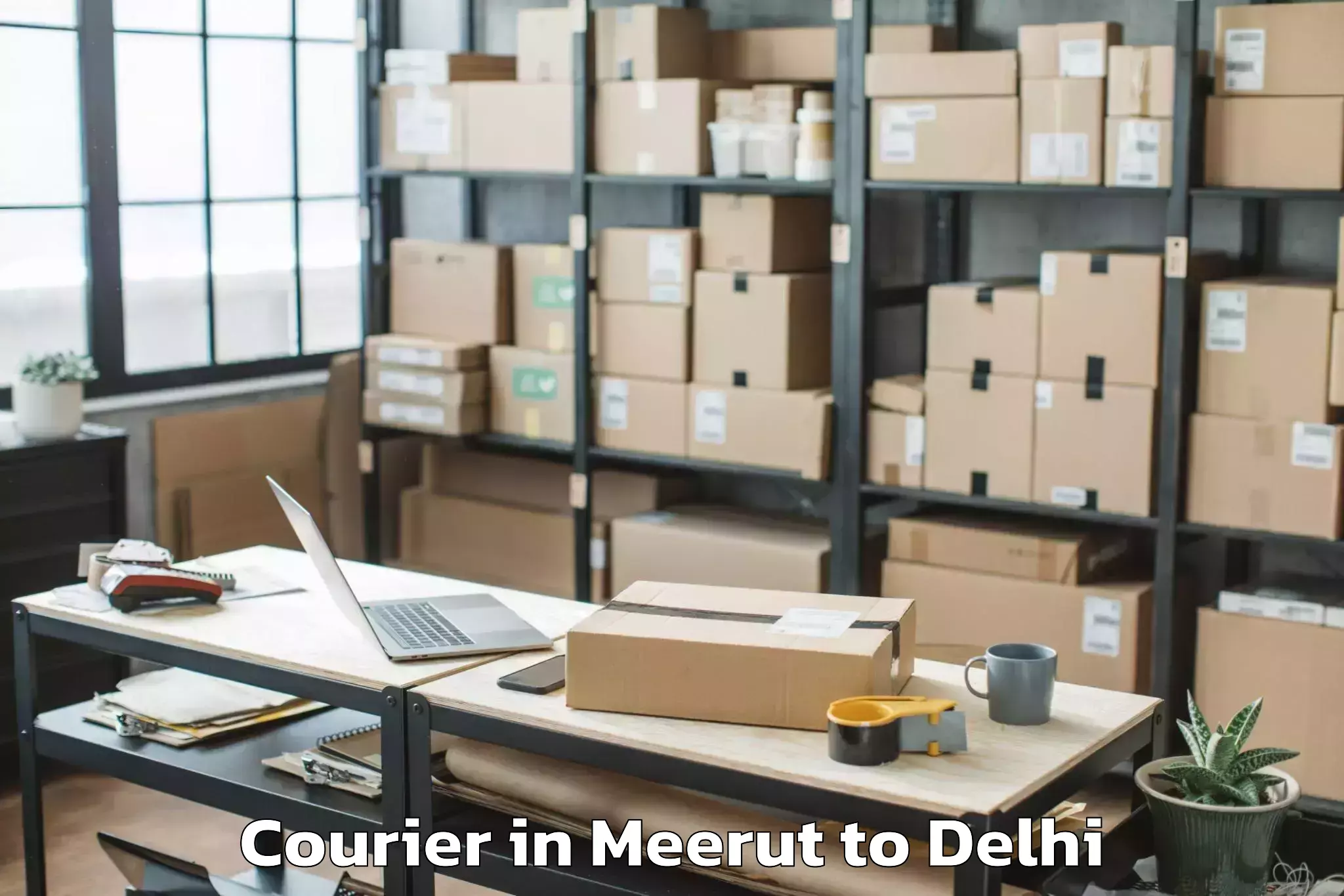 Expert Meerut to Parsvnath Mall Azadpur Courier